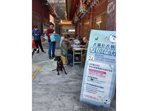 加強寵物健康保護！中市啟動犬貓狂犬病疫苗、晶片巡迴注射活動，3/5全面展開