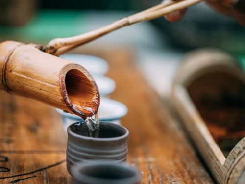 拿普原生有機茶園：台灣茶葉的國際榮耀