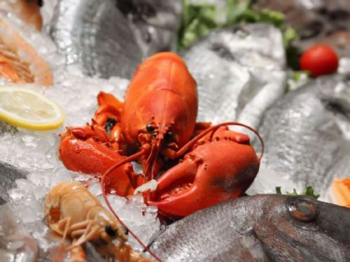 京樂日本料理推出「活海鮮感謝祭」，新鮮海味搭配精選美酒，享受極致饗宴