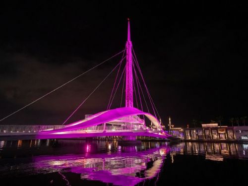 BLACKPINK週末登場！粉紅燈海閃耀港都，LIGHT UP 高雄 IN PINK