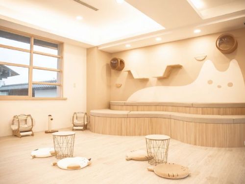 綠舞飯店推出「擼らら Sweets森友會」，提供一泊二食的擼貓下午茶體驗