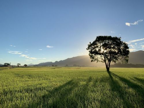 2024 台灣自行車旅遊節：挑戰自然、探索美景