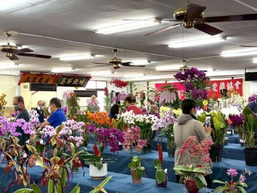 萬卷金檔，檔耀屏東！屏東地政攜手九如鄉農會，自4月18日起，邀您共賞蘭花幽香與土地記憶