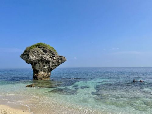 數位集章玩轉屏東黑鮪魚季，傳統文化變身趣味旅遊新體驗
