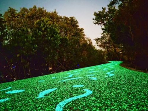 點亮大鵬灣 「月漫步道」越夜越美麗