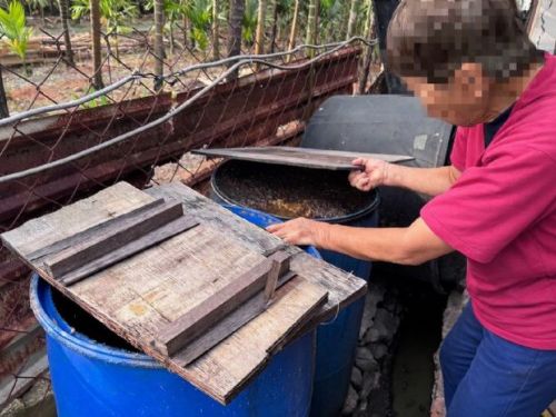 屏東查獲第6起豬場餵飼廚餘，重罰40萬