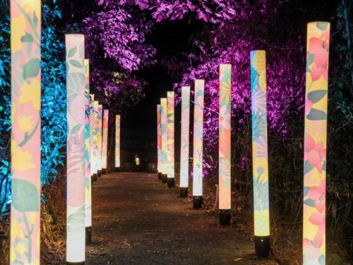 屏東高樹「奇幻大津」2/5開幕，雙金男星劉冠廷回鄉共襄盛舉