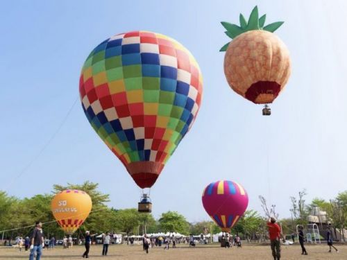 10米熱氣球現身新埤貓頭鷹共融公園 ! 春分嘉年華打造戶外派對，吸引親子打卡