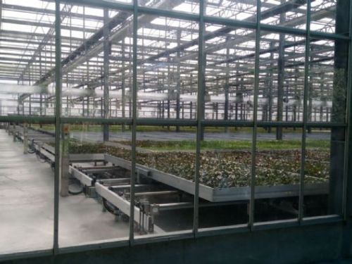 屏縣呼籲農、牧、漁民做好防寒措施及後續災情通報