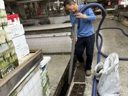 強化市場環境衛生管理，屏縣「公有市場防鼠機制」全面啟動