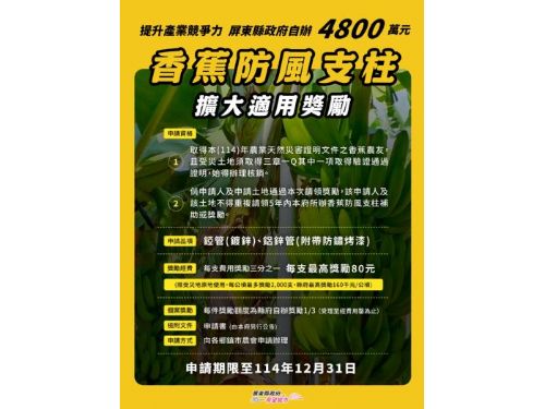 屏東加碼挺蕉農！三章一Q香蕉防風支柱補助啟動，最高可領200元、三場說明會同步登場