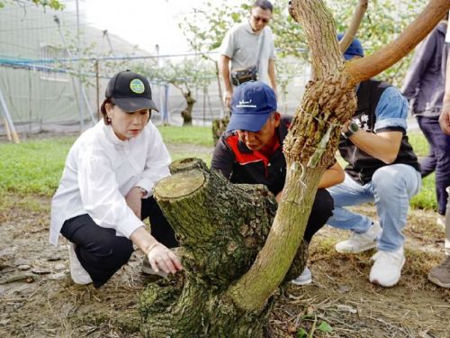 「齊心守護農業家園」——屏東縣全力搶救逾億元農損，盼及早補助協助農友安心復耕