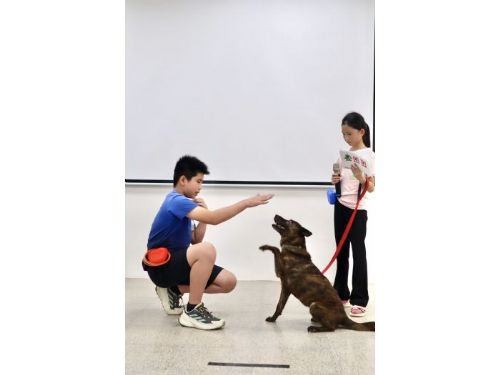 孩子與狗狗共創美好回憶，2025療癒犬夏令營高階班送養會溫馨登場