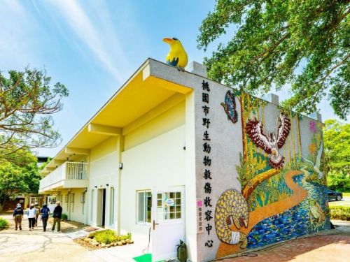 桃園野生動物救傷收容中心正式啟用，守護生命回歸山林，為生態保育注入新能量