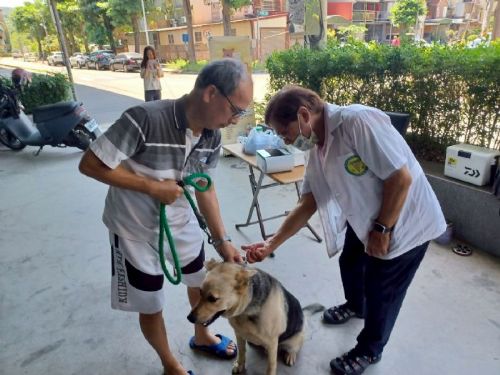 夏至時節防範狂犬病，動保處推出免費犬貓疫苗與晶片巡迴服務