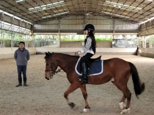 新北推動大動物獸醫培訓再升級，馬病臨床講座傳承專業、守護動物健康