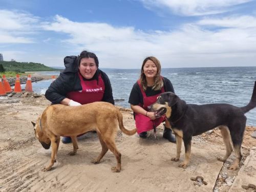 陽光微笑連結愛——來自巴拉圭的Ruth在新北淡水動物之家 用心守護流浪動物 ——跨國溫情，讓陪伴沒有距離，來自南美洲巴拉圭的Ruth Leiva，去年於淡江大學國際事務