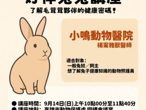 守護毛茸小夥伴！高市動保處 9/14「好伴bàn兔兔講座」帶您破解兔兔健康密碼