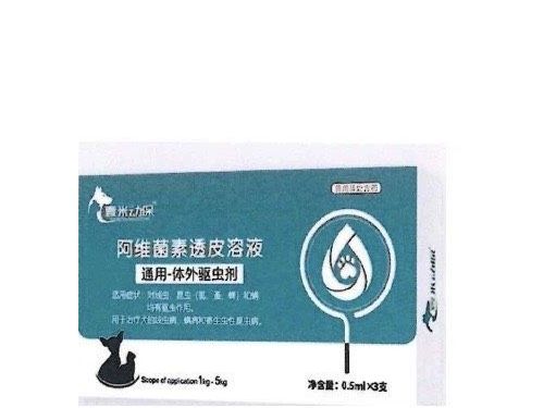 守護毛孩健康｜北市動保處籲拒買網路動物用藥，合法管道才安心