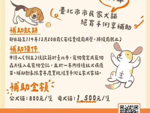 台北毛孩幸福加倍！家犬貓絕育補助開跑中，暖心守護一路到 12/20