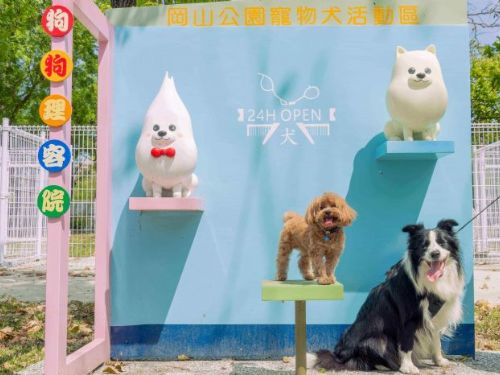 岡山公園寵物活動區亮相，博美犬入口超吸睛！打造毛孩專屬健身樂園