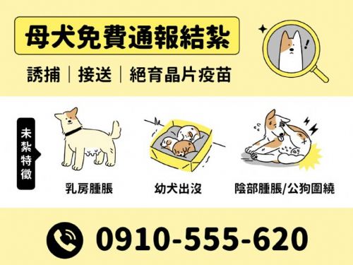 苗栗縣攜手社區推動高強度母犬絕育計畫，共創安全友善環境