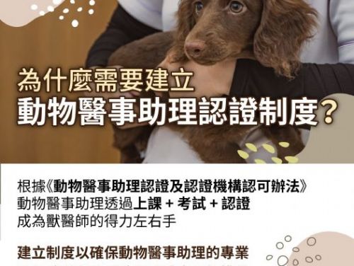 溫馨守護毛孩健康，動物醫事助理認證制度正式上路