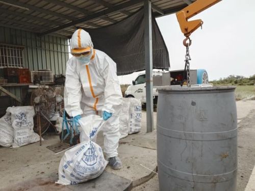 守住禽場安全線：動保處即時應變，全力防堵高病原性禽流感擴散