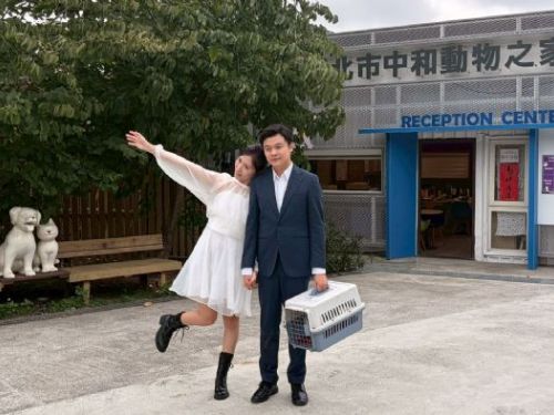 在婚紗與毛孩笑容之間，看見愛與責任：一對新人用鏡頭為流浪動物發聲