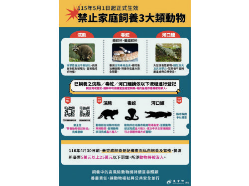 115年5月1日起北市禁養動物新制上路！浣熊、毒蛇、河口鱷飼主儘速完成登記，才能合法續養至終老