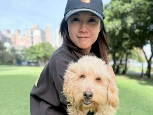 社群力量創造幸福奇蹟！八里超萌毛孩「米克斯」一週爆紅，成功迎接溫暖新家