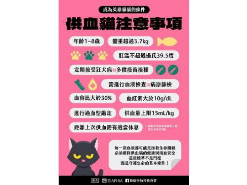 毛孩的守護天使──犬貓輸血安全新規範，用愛連結生命