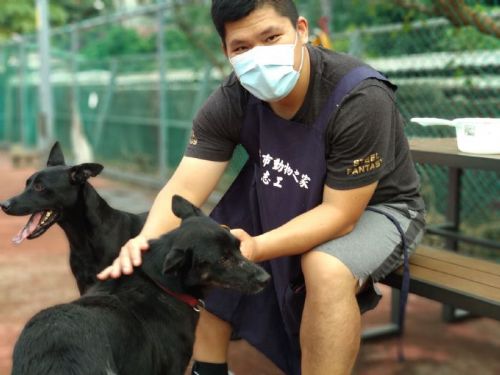 溫暖守護的身影：金融業志工方佳星，假日陪伴板橋動物之家毛寶貝