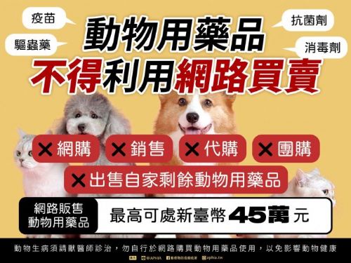 苗栗縣府加強稽查！觀賞魚用藥須領許可證，確保水族用藥安全與產業健全發展