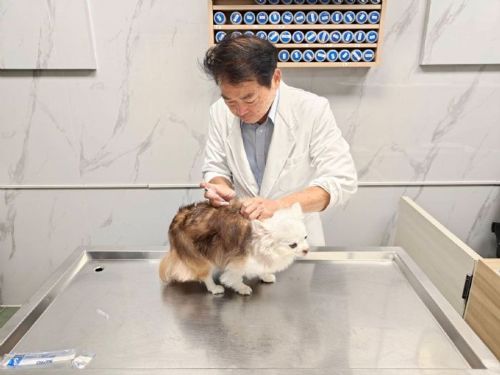 新北表揚20家績優動物醫院！攜手獸醫守護毛寶貝健康與狂犬病防疫