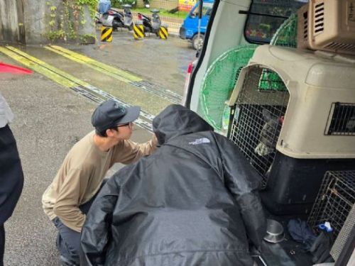 雨中救援不缺席！黑犬受困橋下驚險獲救，新北動保暖心接力找到幸福新家