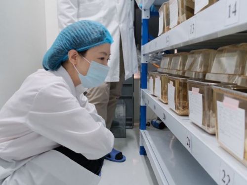 科學與生命的平衡｜新北市嚴格把關實驗動物福祉，守護研究品質與人道價值