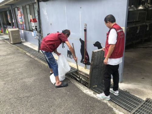 楊柳來襲，新北動物之家全線防颱，24 小時陪毛寶貝安心度過