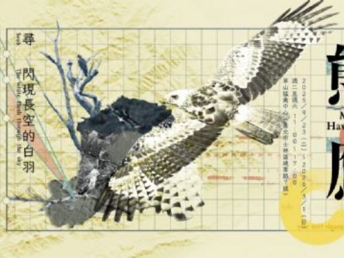 草山猛禽中心推出「熊鷹－尋閃現長空的白羽」特展，揭開臺灣天空守護者的神秘身影