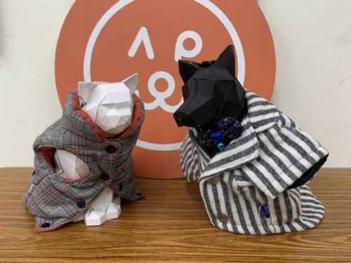 寒流不怕冷！臺北市動物之家暖心升級防寒照護，認養還送新衣迎新年