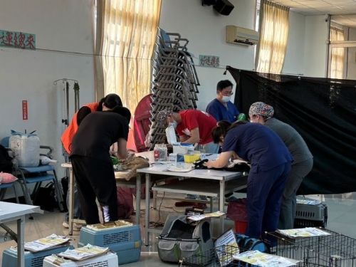 偏鄉暖心相伴！犬貓絕育巡迴列車年度壓軸場為毛孩健康畫下最溫柔的句點