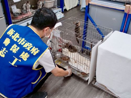 板橋動物之家獲「績優社會勞動機構」！十二年合作努力化作溫暖力量，陪伴毛孩與人一起被治癒