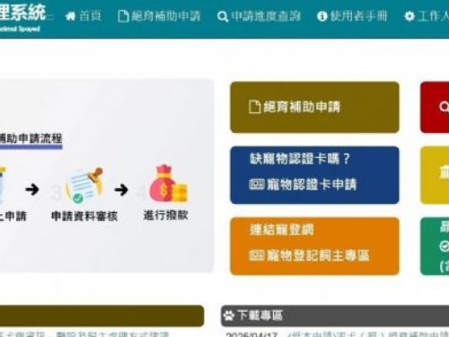 把愛做到最好：新北市犬貓絕育補助開跑，守護毛孩也守護城市