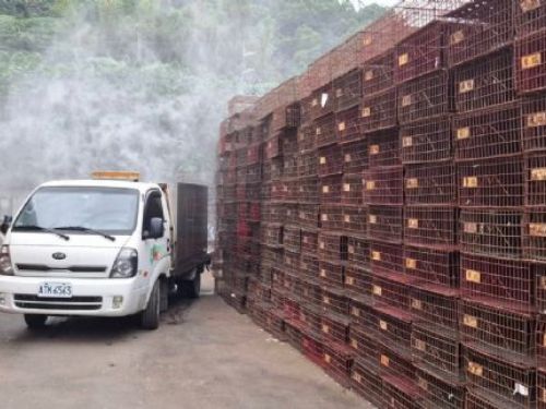 寒流來襲，防疫升級，新北嚴防禽流感跨境風險，守住食安第一線