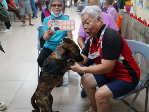 從街頭浪浪到長者心靈療癒師！屏東「豹抱」陪伴犬計畫，讓毛孩與阿公阿嬤共創幸福時光