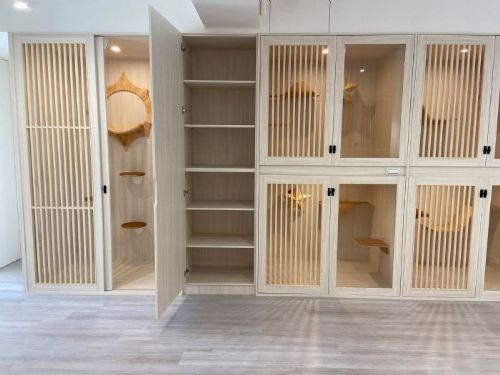 寵物寄養安心托付，苗栗縣守護毛孩幸福生活，合法寄養與契約保障，讓飼主與毛孩更放心
