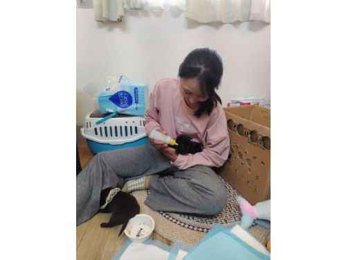 新北市流浪動物救援暖心紀實，代養家庭攜手守護毛孩，共築溫暖希望家園