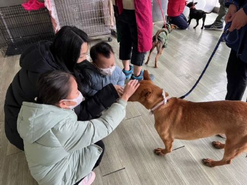 新北校園生命教育暖心推動！孩子從互動中學會尊重動物、理解生命