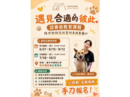 毛孩認養不衝動！臺中動保處推出「未來飼主養成班」陪您找到最適合的狗狗夥伴