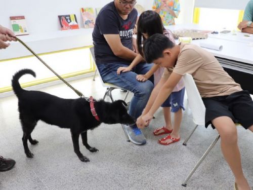 與毛孩相愛的第一步｜動保處舉辦「狗狗的家人時光遊戲課」溫暖登場